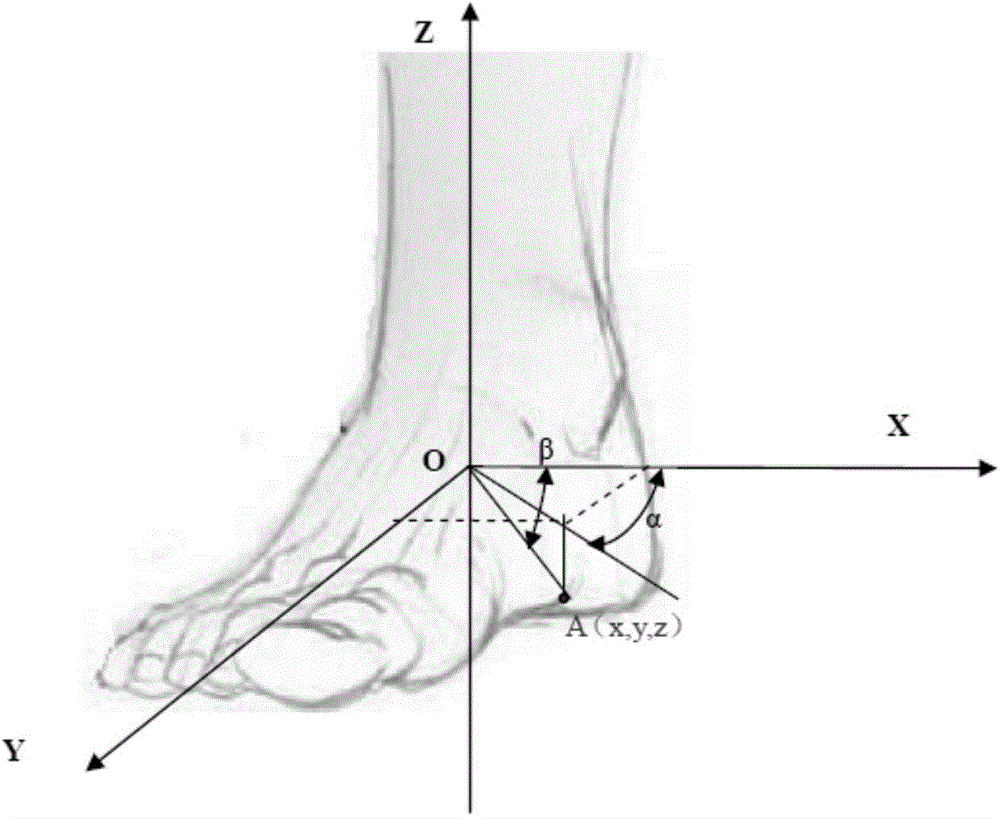 Real-person shoe type copying device and shoe tree manufacturing method based on single-eye multi-angle-of-view robot vision