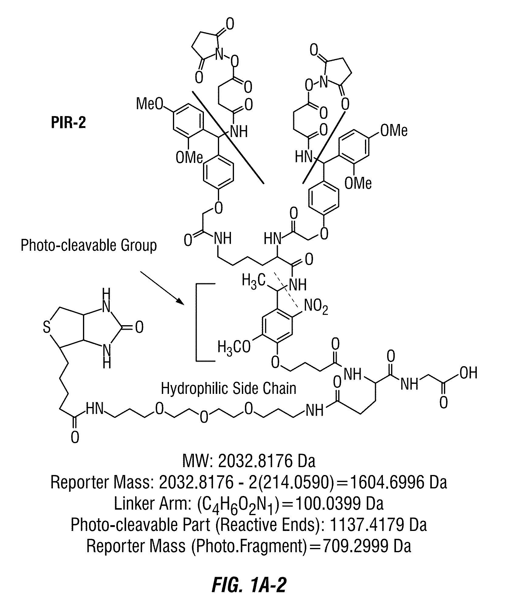 Method to determine protein interaction sites