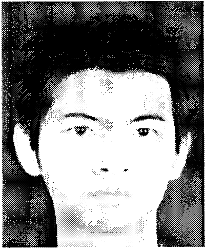 Human face sketch portrait picture automatic generating method