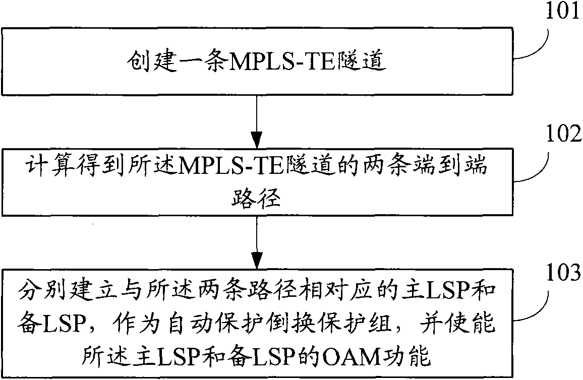 Multiprotocol label-switched path APS (Active Protection System) protection and management method, equipment and system