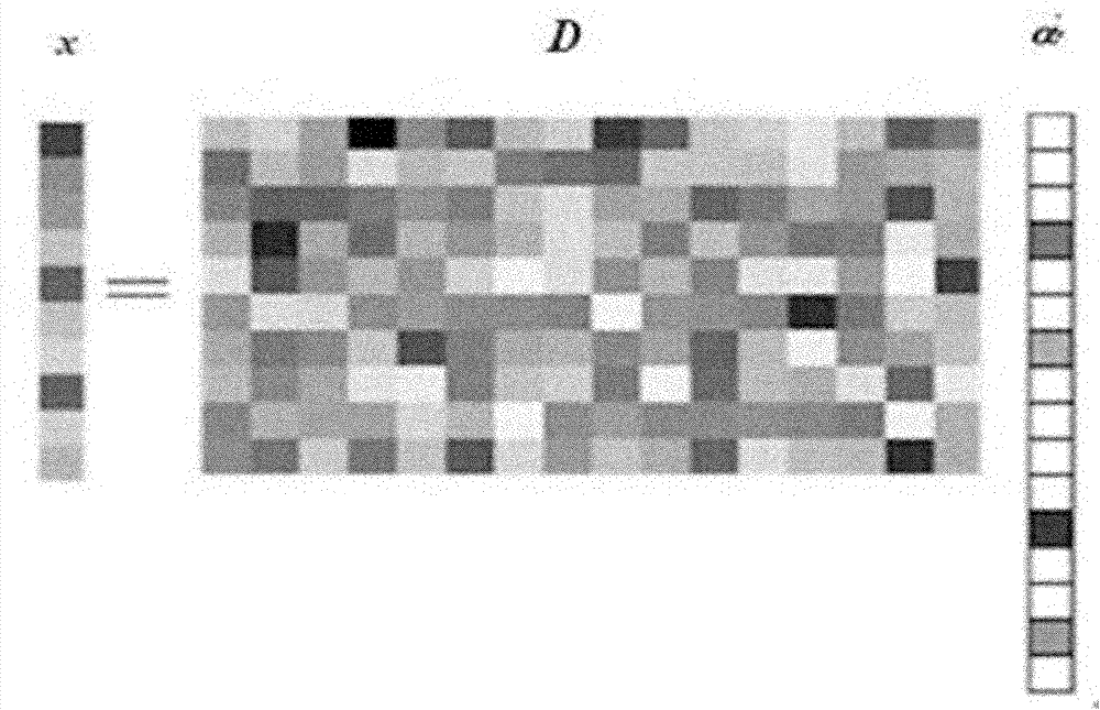 Near infrared human face image identification method based on wavelet theory and sparse representation theory