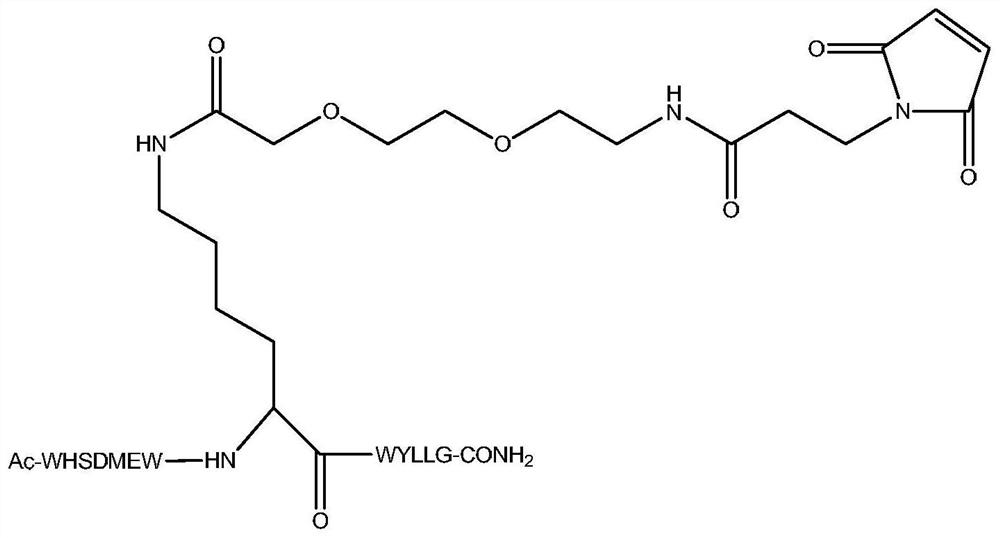 Derivative and Application of Vascular Endothelial Cell Growth Factor Receptor Antagonist Peptide f56