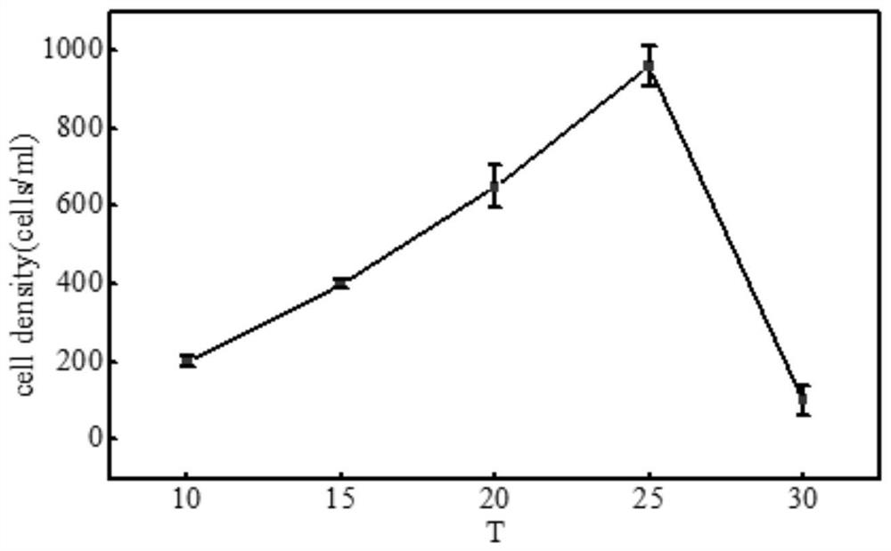 A kind of pure culture system of acanthus duckweed and its preparation method and culture method