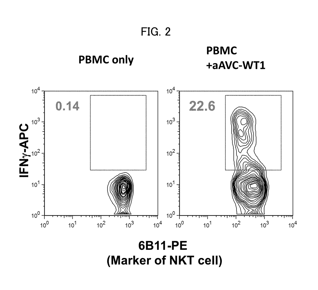Cell for immunotherapy, including modified nucleic acid construct encoding wilms tumor gene product