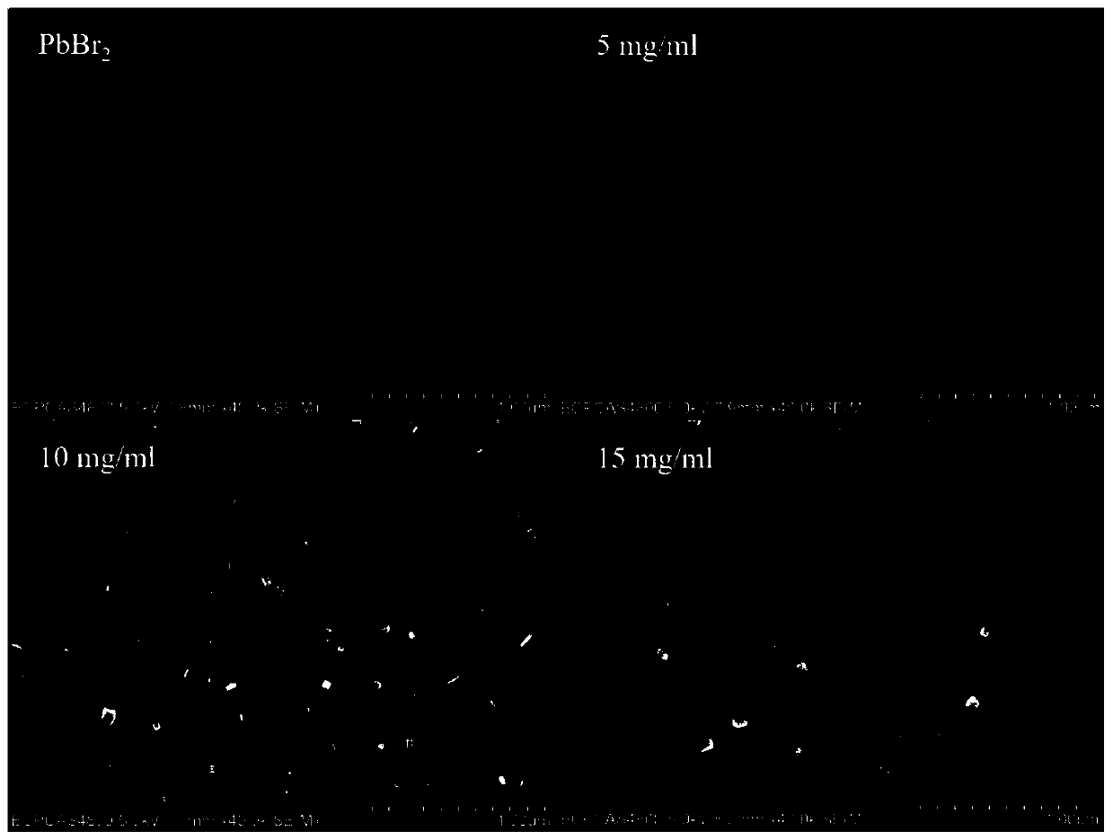 Preparation method and application of total inorganic perovskite film