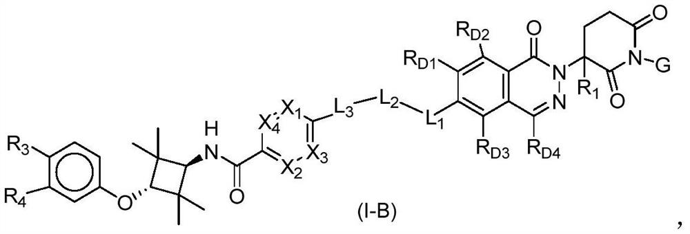 Phthalazinone compound as well as preparation method and medical application thereof