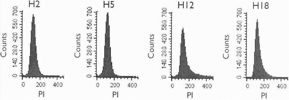 Rapid identification method of Saccharomyces cerevisiae haploid