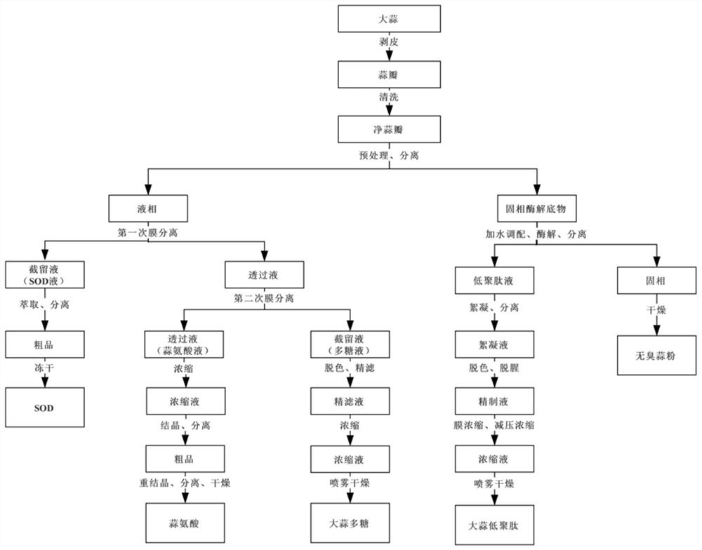 An integrated extraction method of multiple bioactive components in garlic