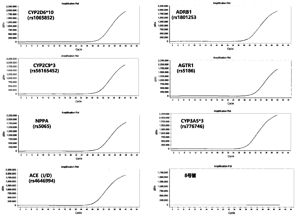 Hypertension medication gene detection kit and use method thereof