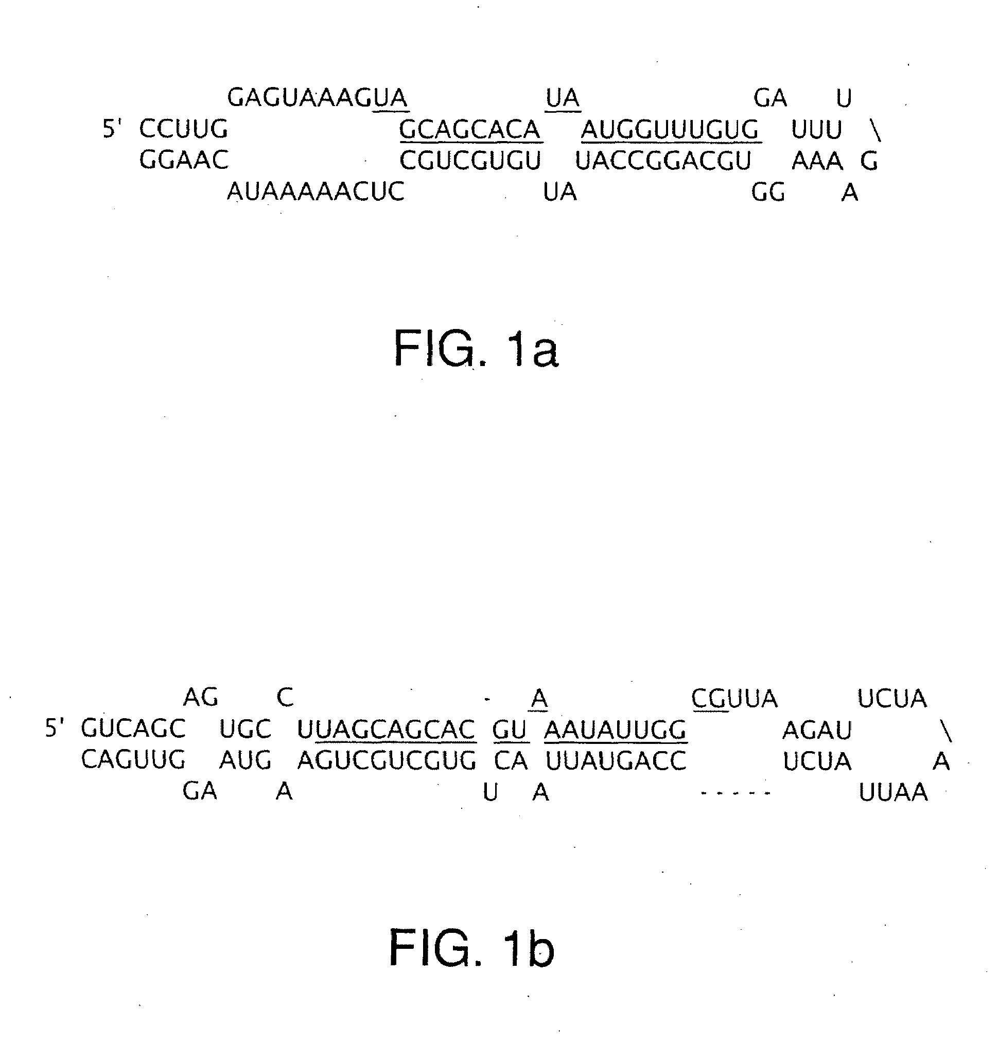 Compositions and methods for cancer diagnosis and therapy