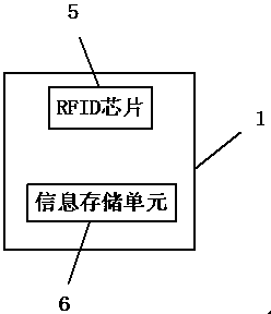 Physical examination information transfer system and physical examination information transfer method