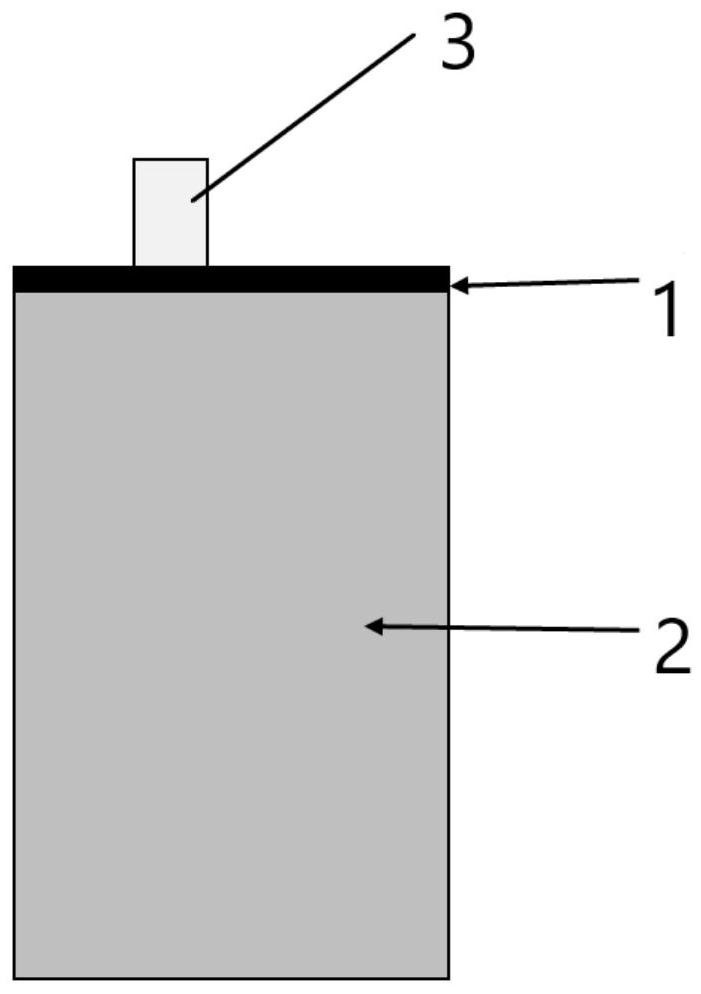 Negative pole piece and lithium ion battery comprising negative pole piece