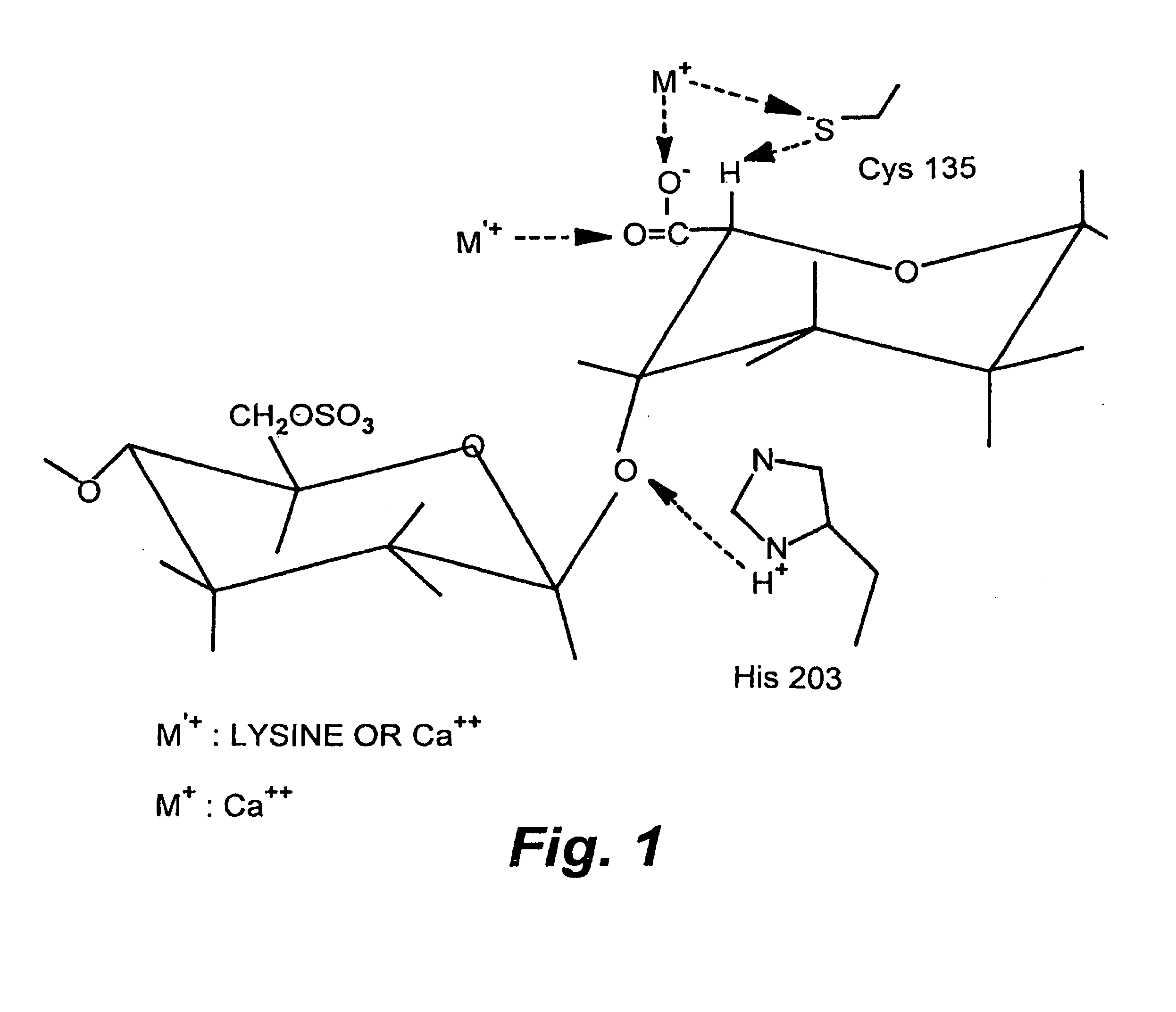 Rationally designed heparinases derived from heparinase I and II