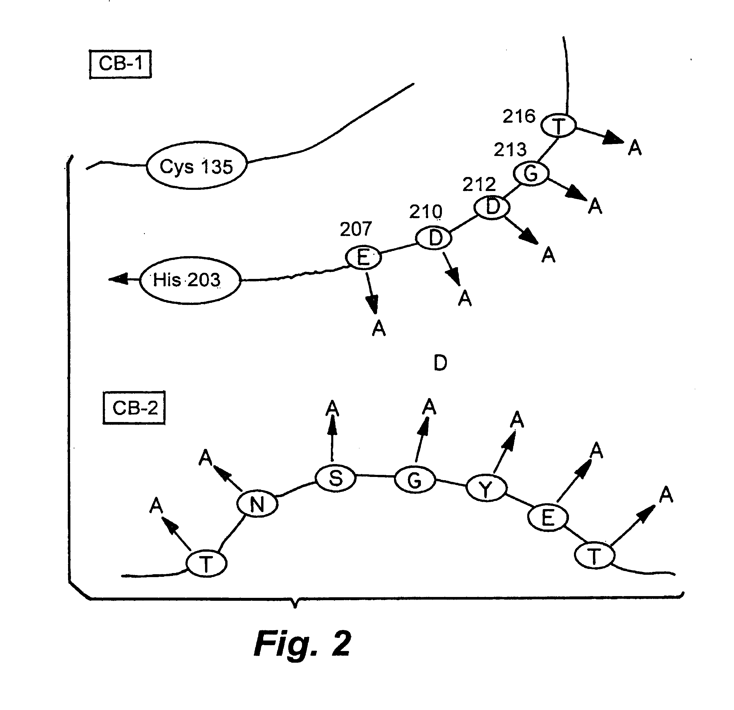 Rationally designed heparinases derived from heparinase I and II