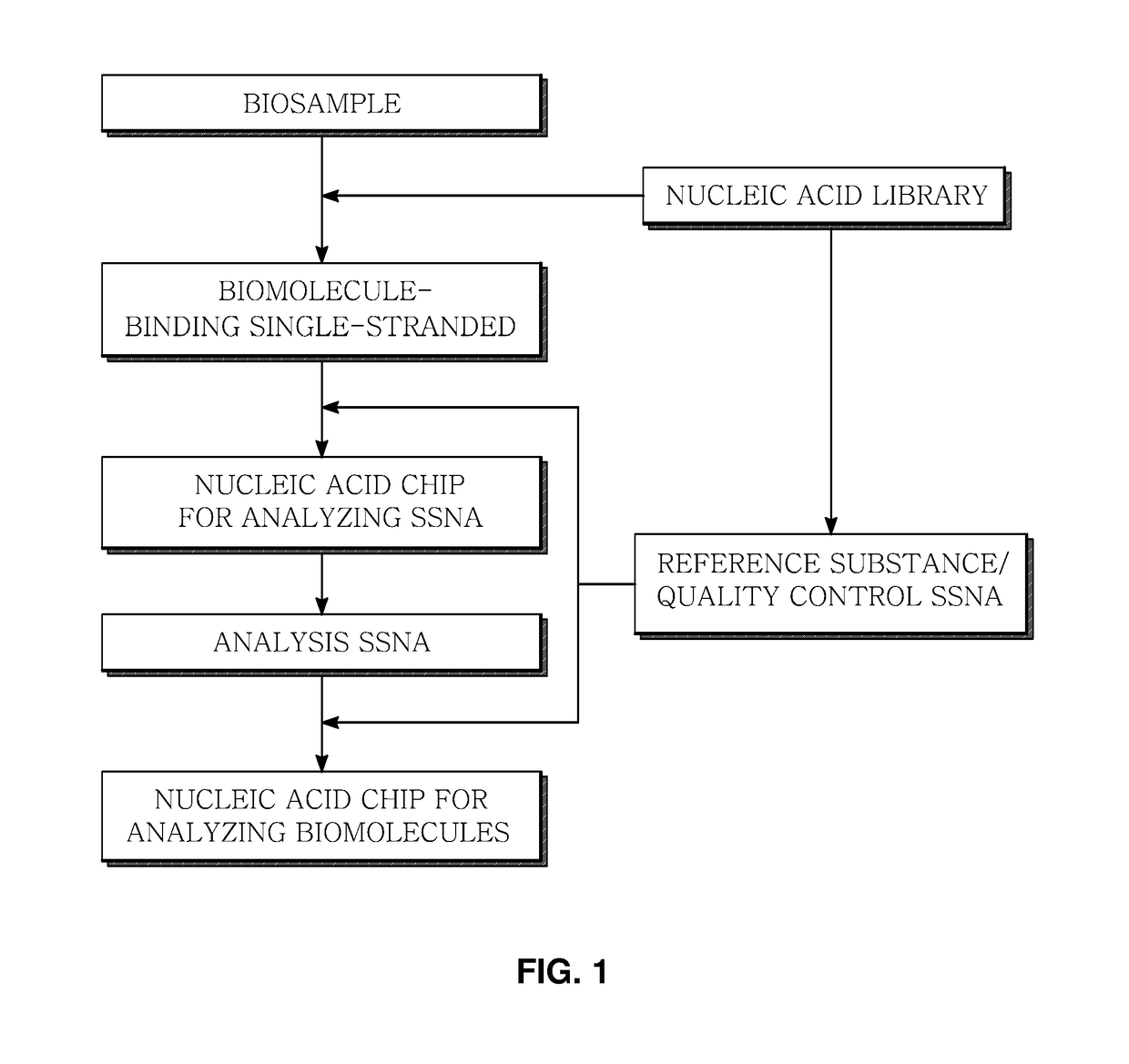 Marker for generating binding information on biomolecules and nucleic acids, preparation method therefor, and method and apparatus for analyzing biomolecule by using same