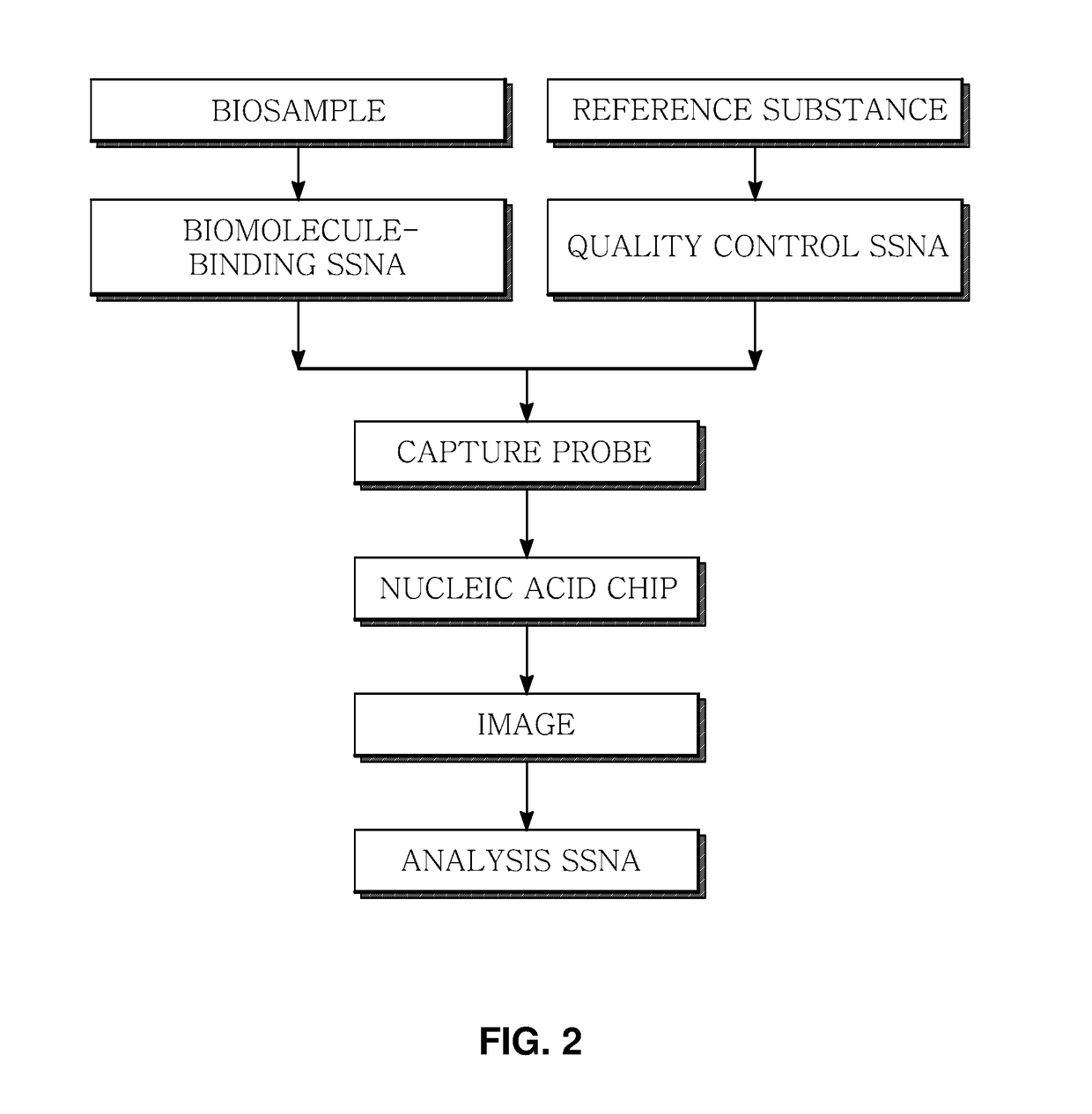 Marker for generating binding information on biomolecules and nucleic acids, preparation method therefor, and method and apparatus for analyzing biomolecule by using same