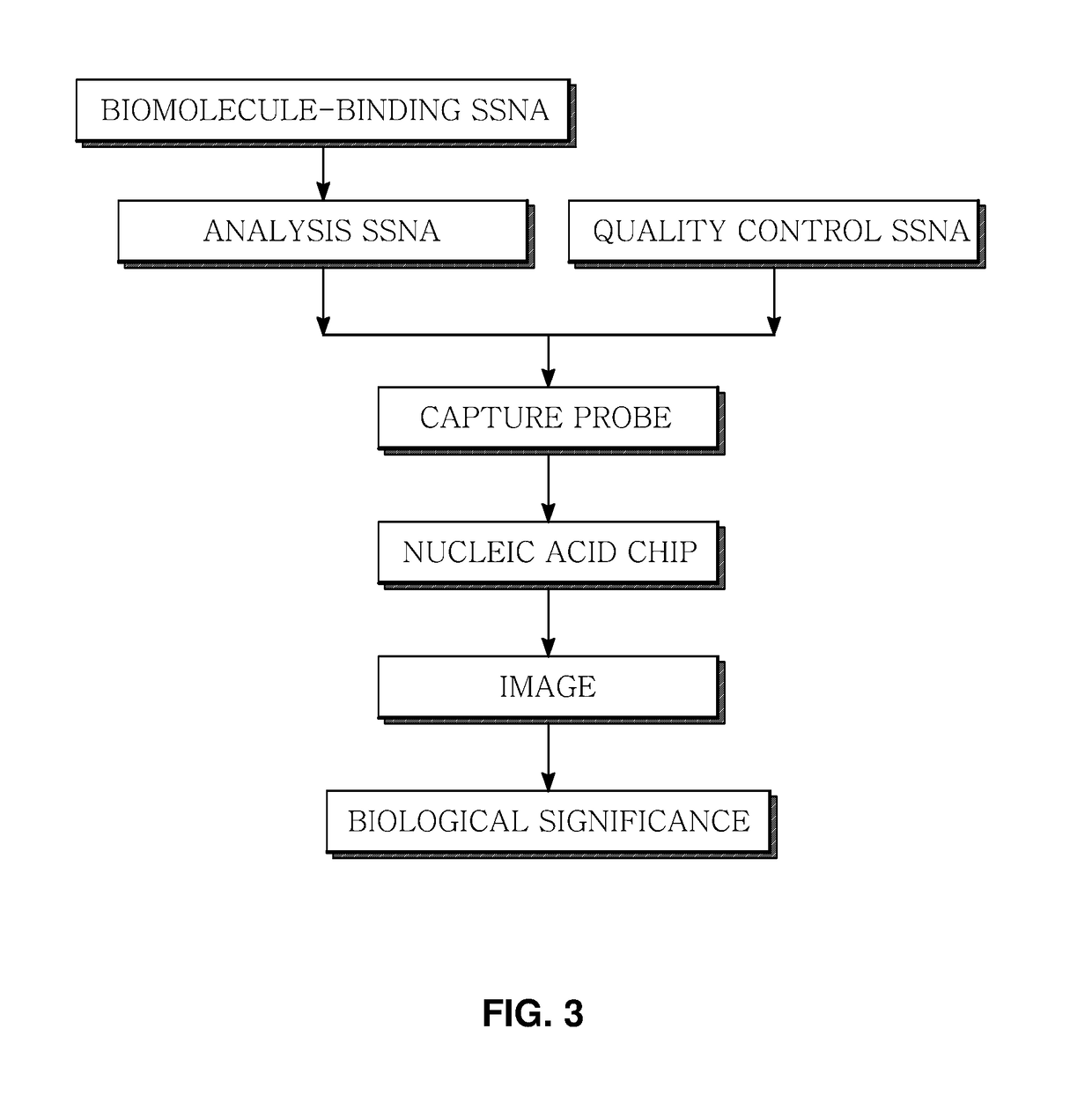 Marker for generating binding information on biomolecules and nucleic acids, preparation method therefor, and method and apparatus for analyzing biomolecule by using same