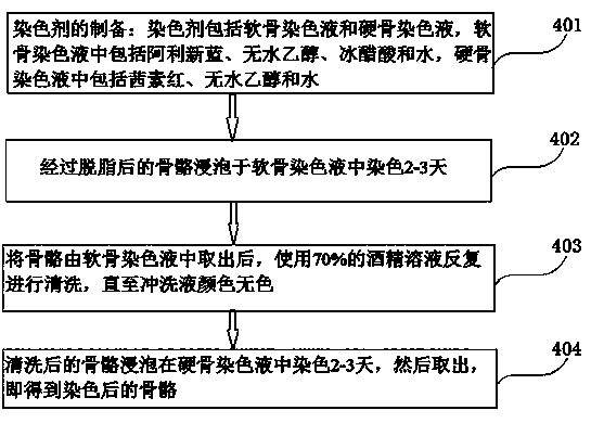 Cartilage staining solution, bone staining method and method for preparing embryonic bone specimen by using bone staining method