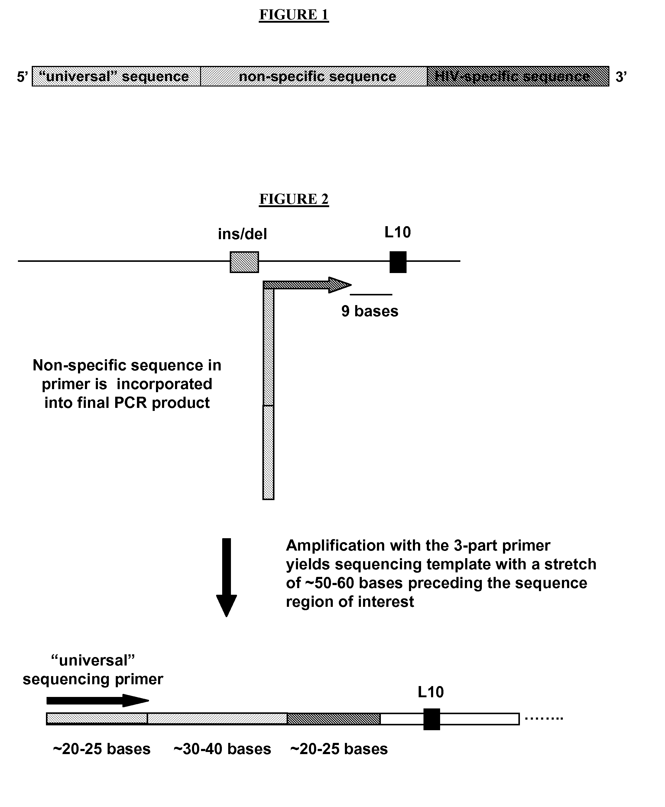 Novel Oligonucleotide Primers and Methods for DNA Replication