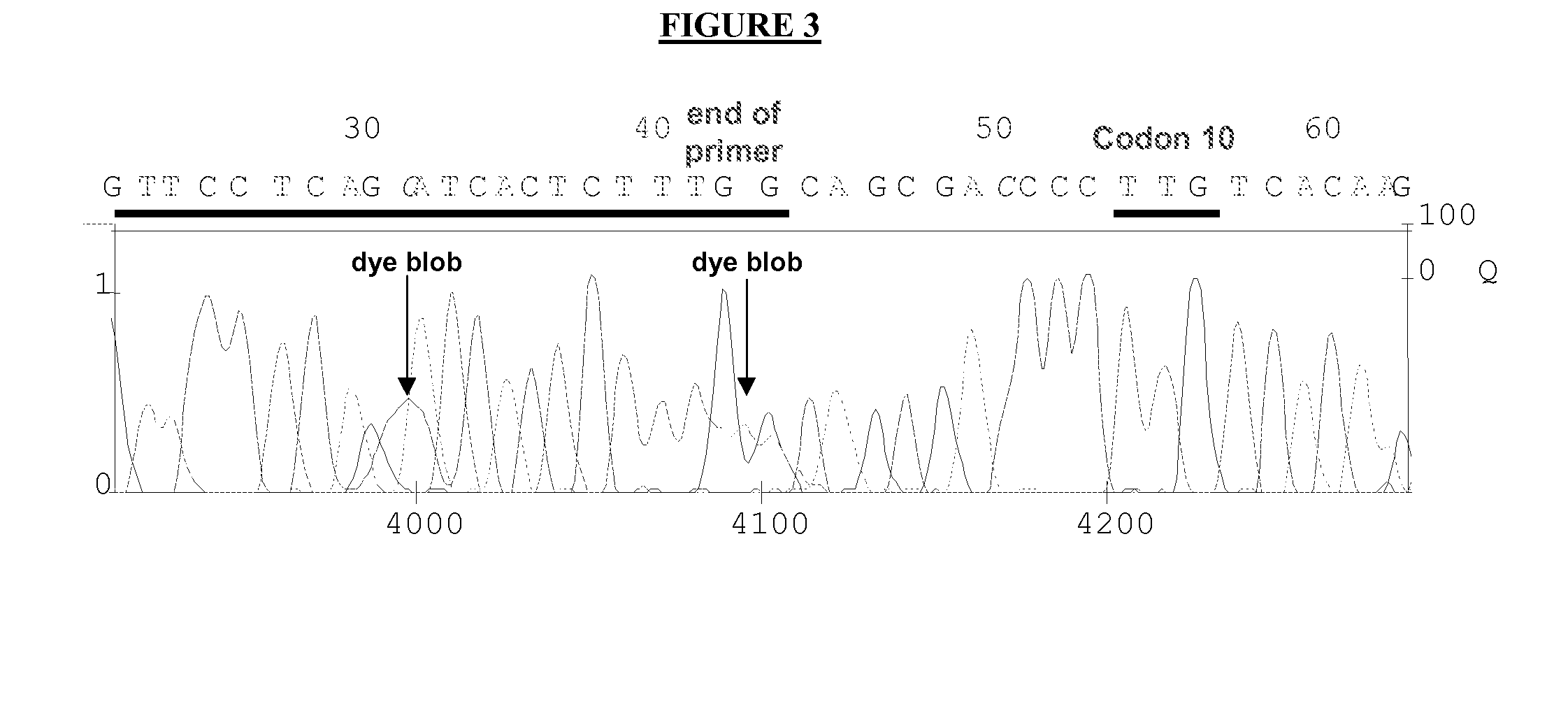 Novel Oligonucleotide Primers and Methods for DNA Replication