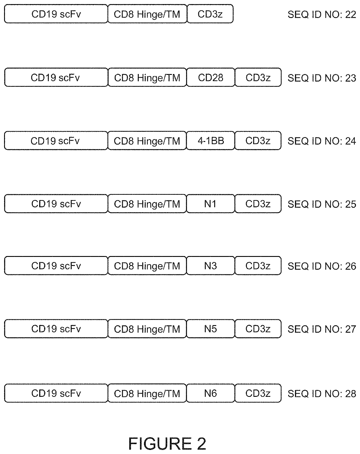 Co-stimulatory domains for use in genetically-modified cells