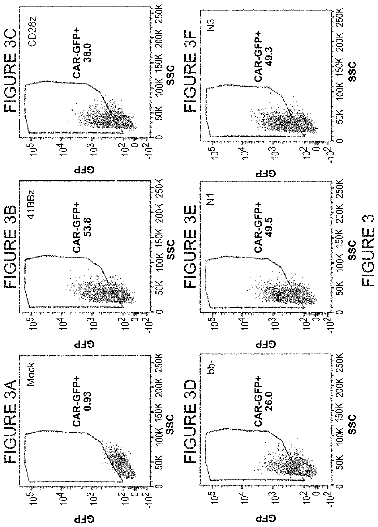 Co-stimulatory domains for use in genetically-modified cells