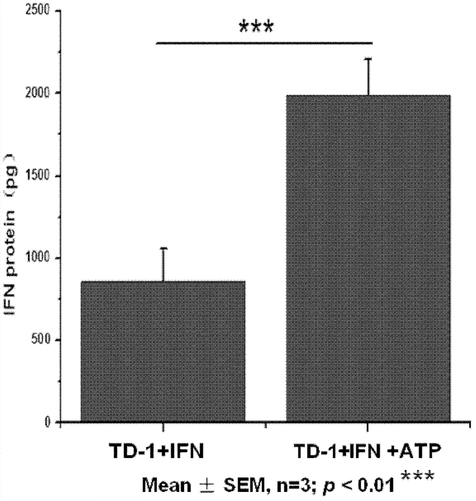 Composite for enhancing transdermal administration and application thereof