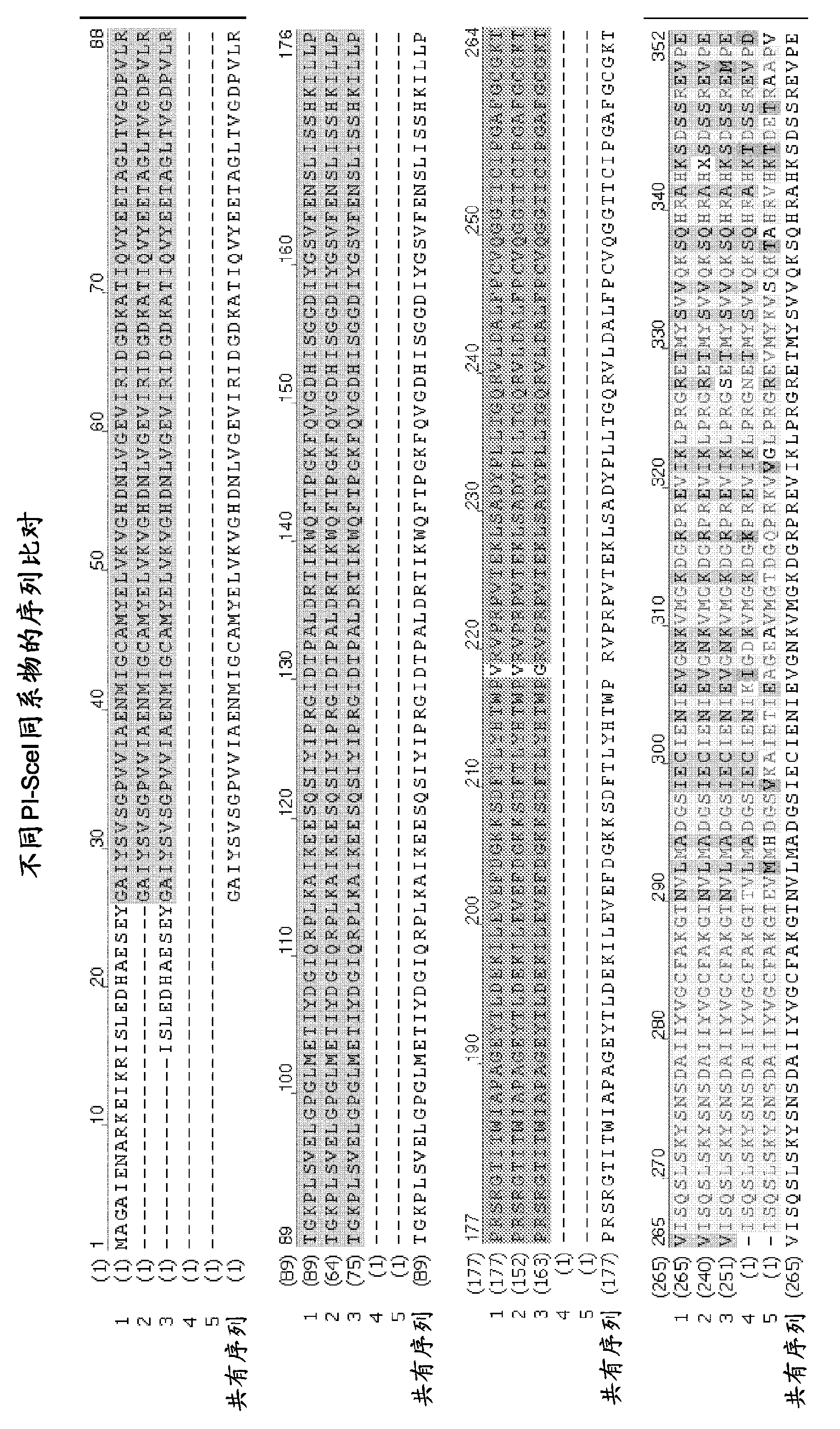 Chimeric endonucleases and uses thereof