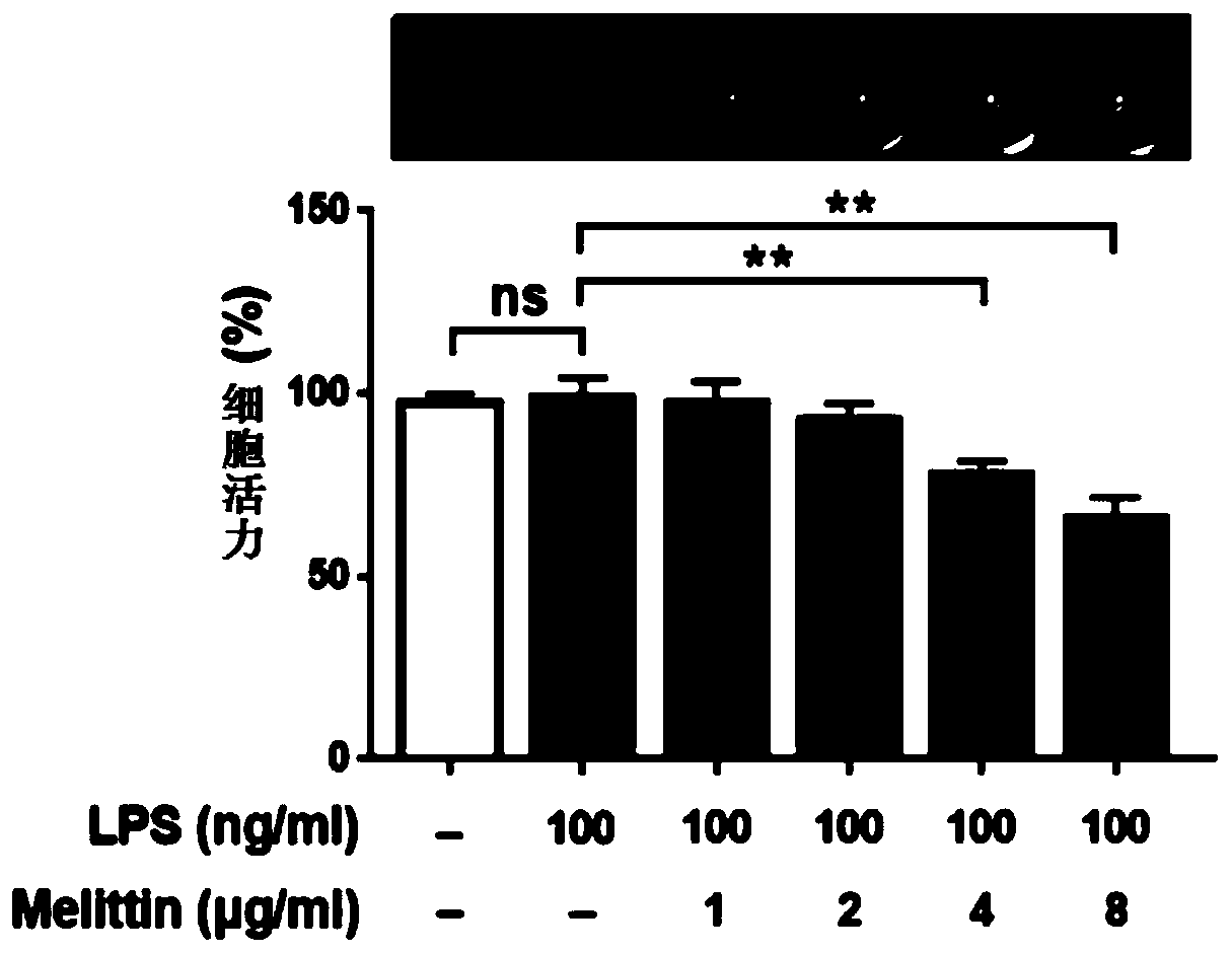 PKM2 regulating agent and preparation method and application thereof