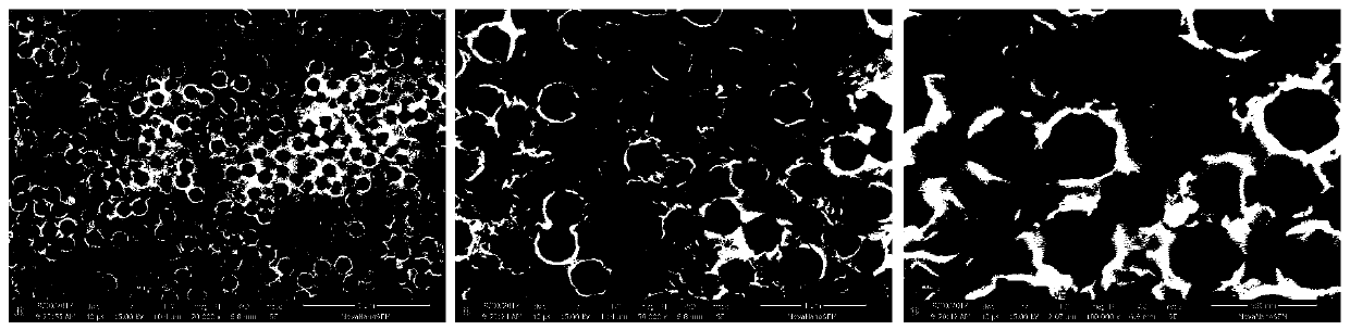 Preparation method of a three-dimensional hierarchical porous copper-zinc composite current collector