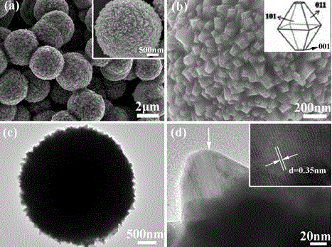 Graduated porous titanium dioxide microsphere, and preparation method and applications thereof