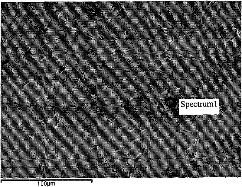 Method for Removing Oxide Skin on the Surface of Titanium/Titanium Alloy Strip