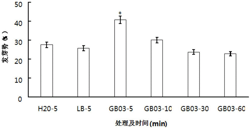 Method for improving germination rate of Puccinellia tenuiflora seed