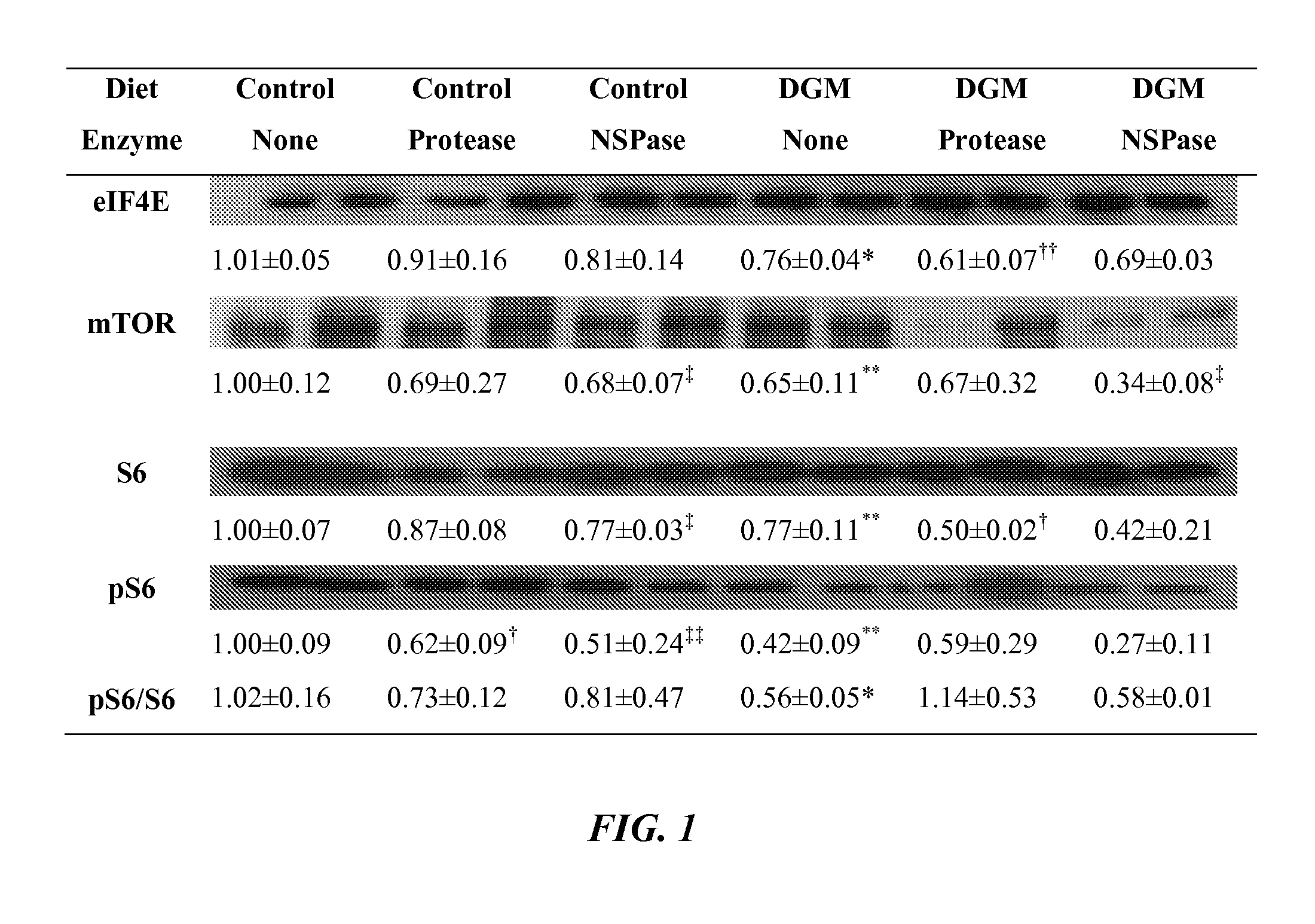 Algal-based animal feed composition containing exogenous protease animal feed supplement, and uses thereof