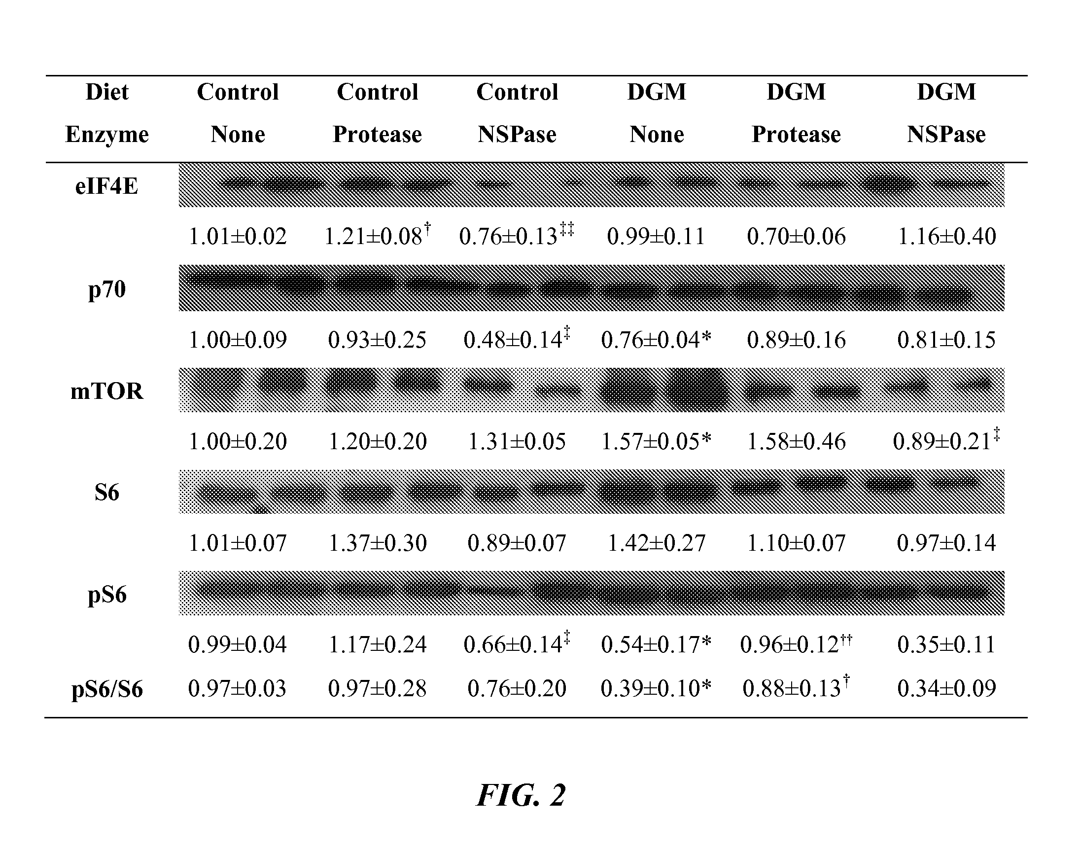 Algal-based animal feed composition containing exogenous protease animal feed supplement, and uses thereof