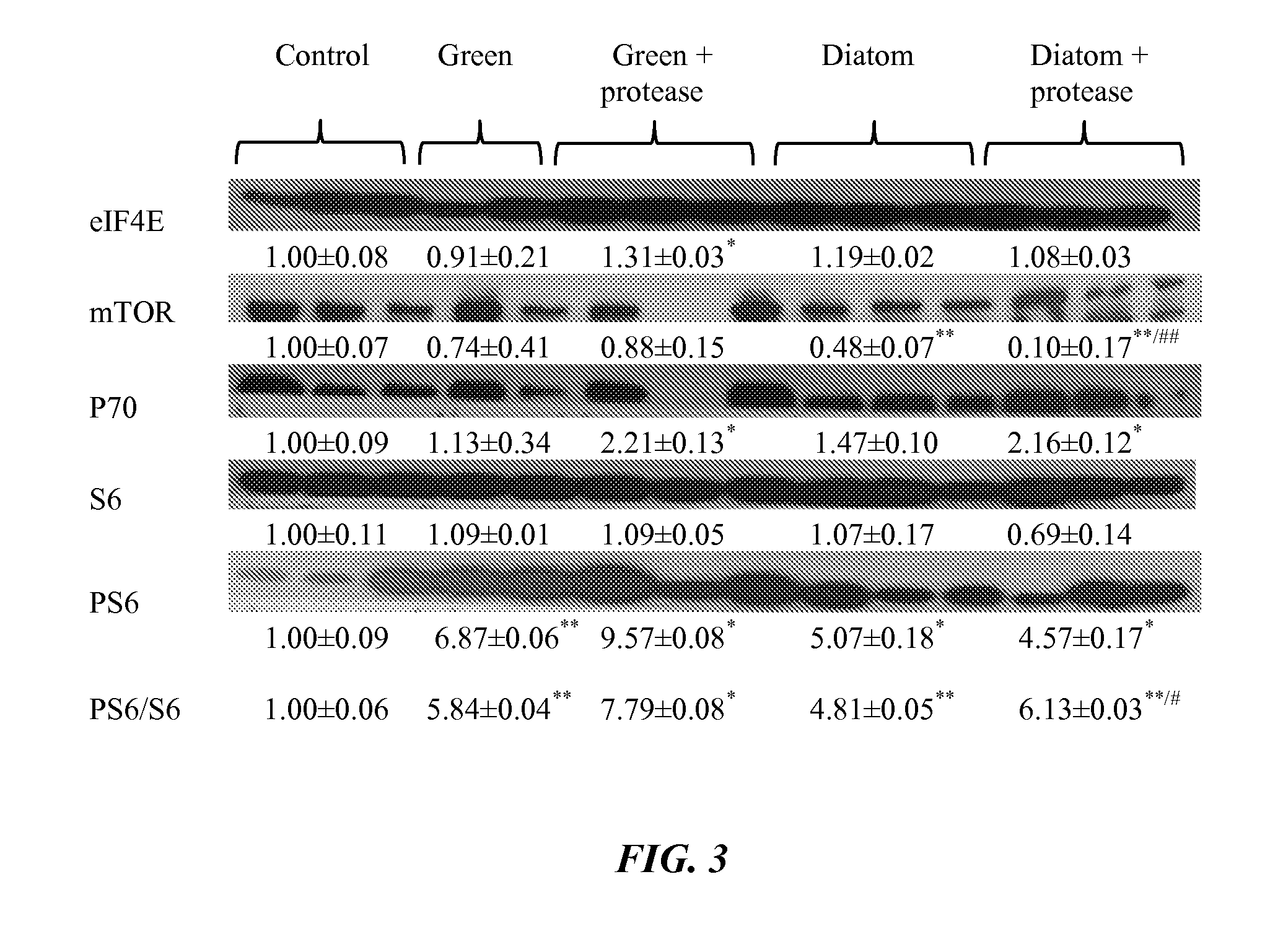 Algal-based animal feed composition containing exogenous protease animal feed supplement, and uses thereof