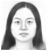 Face simple graph generation method with remarkable texture effect