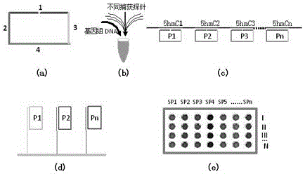 A chip-based method for high-throughput and high-sensitivity detection of 5-hydroxymethylated cytosine