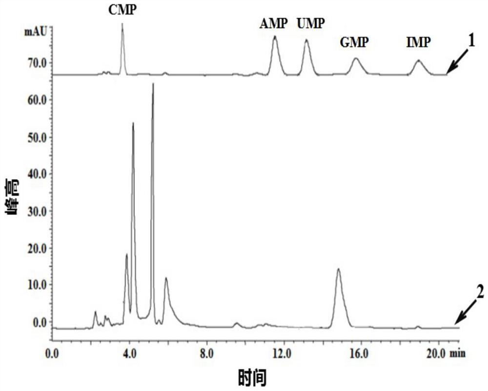 Large-scale preparation method of protamine oligopeptide chelated zinc