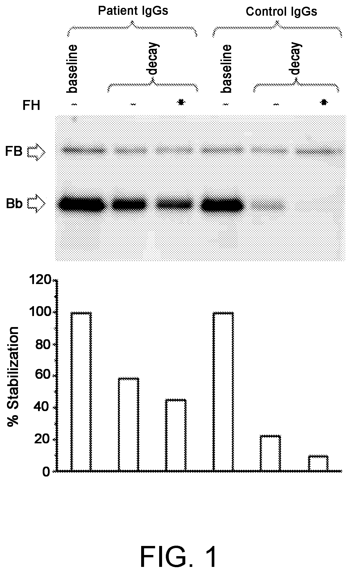 Method for the diagnosis of c3nef-mediated membranoproliferative glomerulonephritis