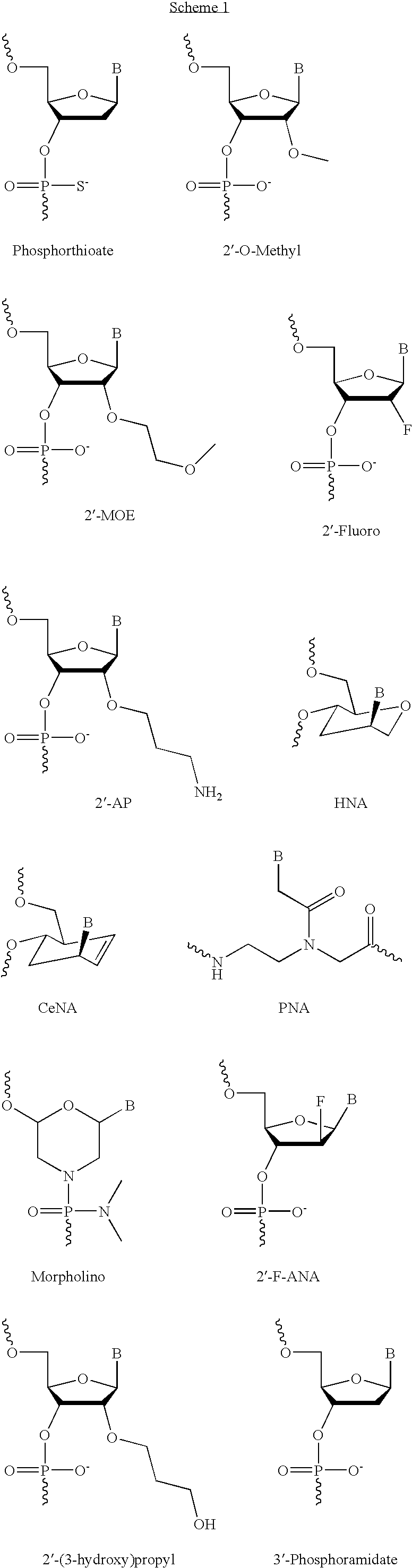 Oligomeric compounds for the modulation of Bcl-2