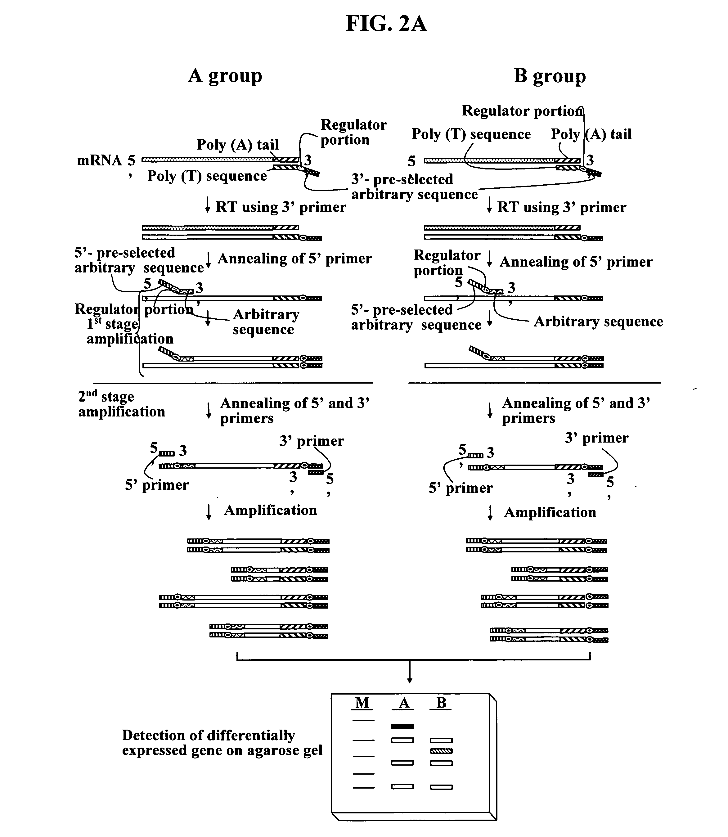 Annealing control primer and its uses