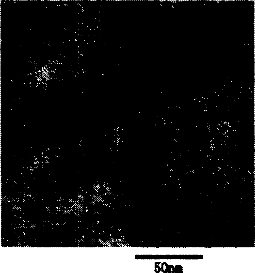 Method for preparing CdSe quantum point