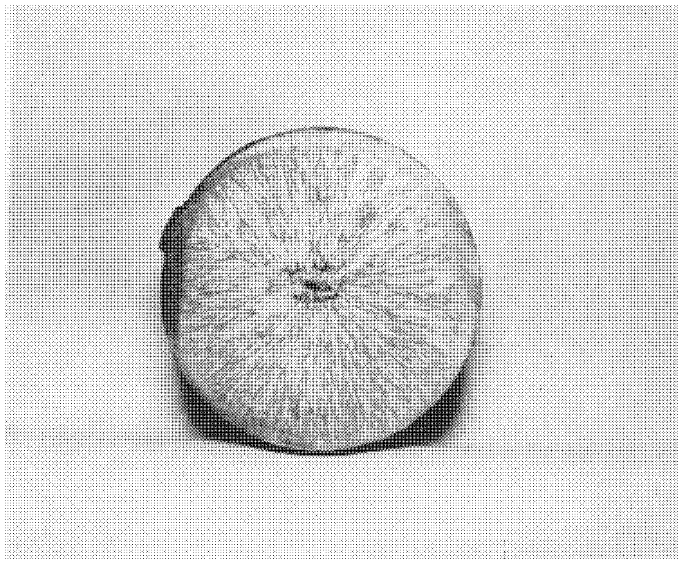 High-performance alloy wire brush used for brush seal, and preparation method thereof