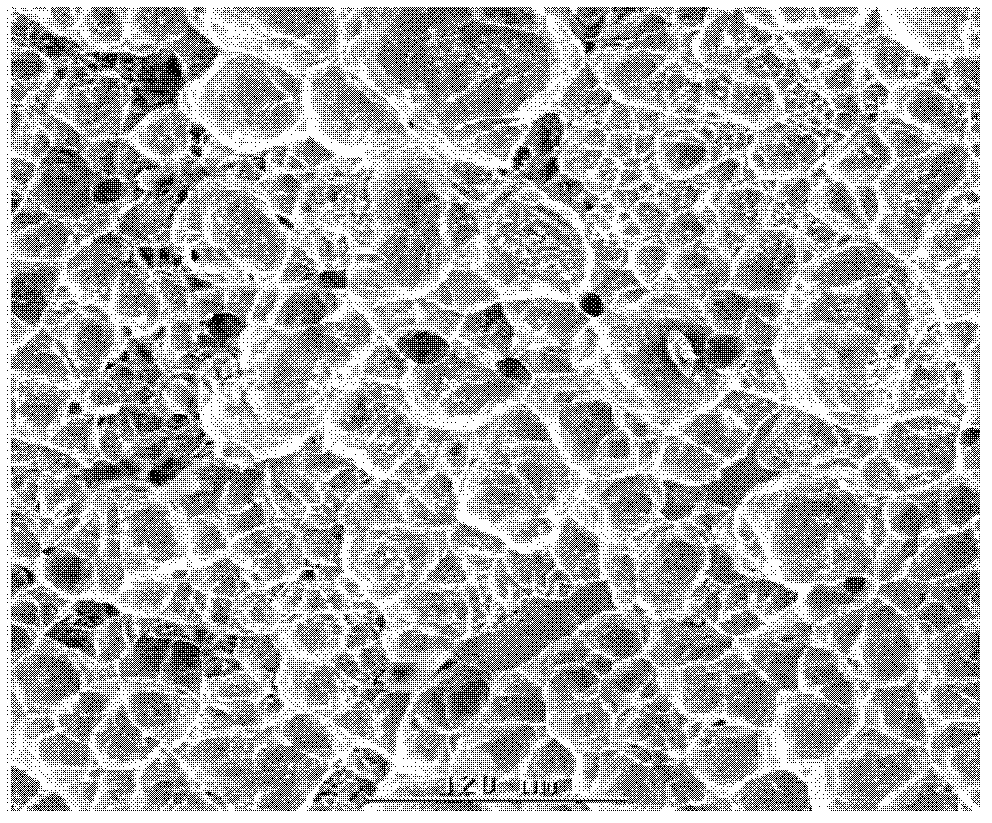 High-performance alloy wire brush used for brush seal, and preparation method thereof