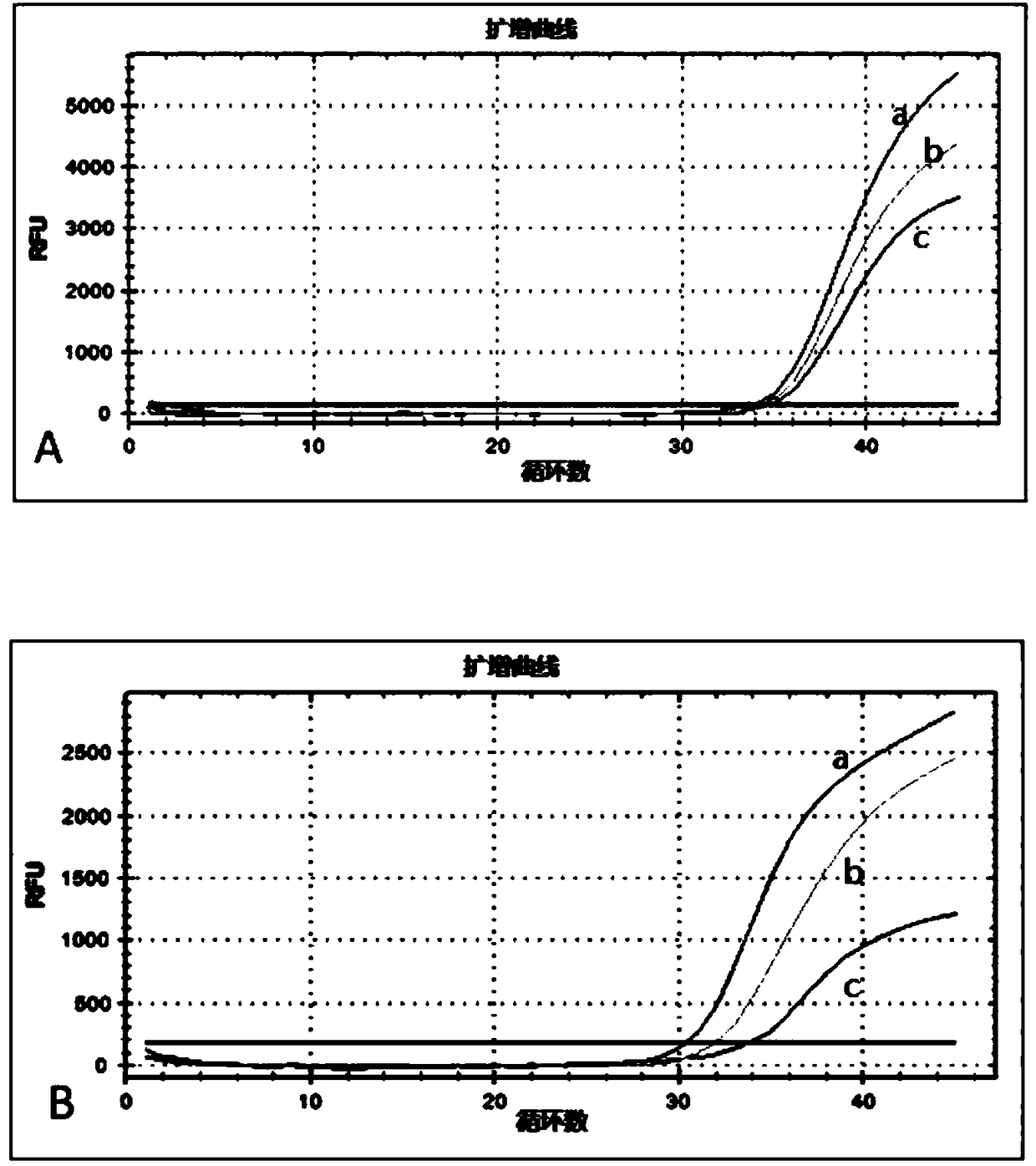 Universal primer single fluorescence molecule detection technique and kit