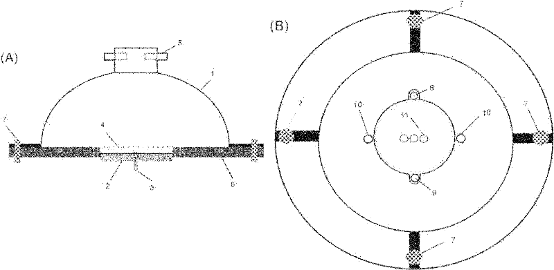 Electrostatic field-based air sampler and sampling method thereof