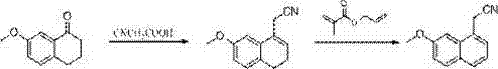 Synthetic method of 2-(7-methoxyl-1-naphthyl) ethylamine hydrochloride