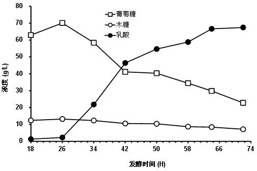 Preparation method of lactic acid by saccharifying and fermenting lignocellulose