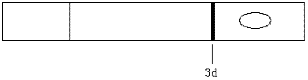 Colloidal gold test paper strip for semiquantitatively detecting concentration of GFAP (Glial Fibrillary Acidic Protein) in human serum